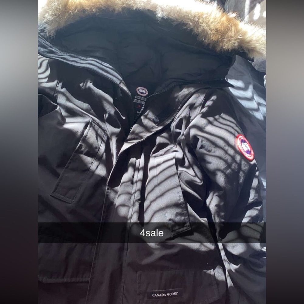 Canada goose Langford